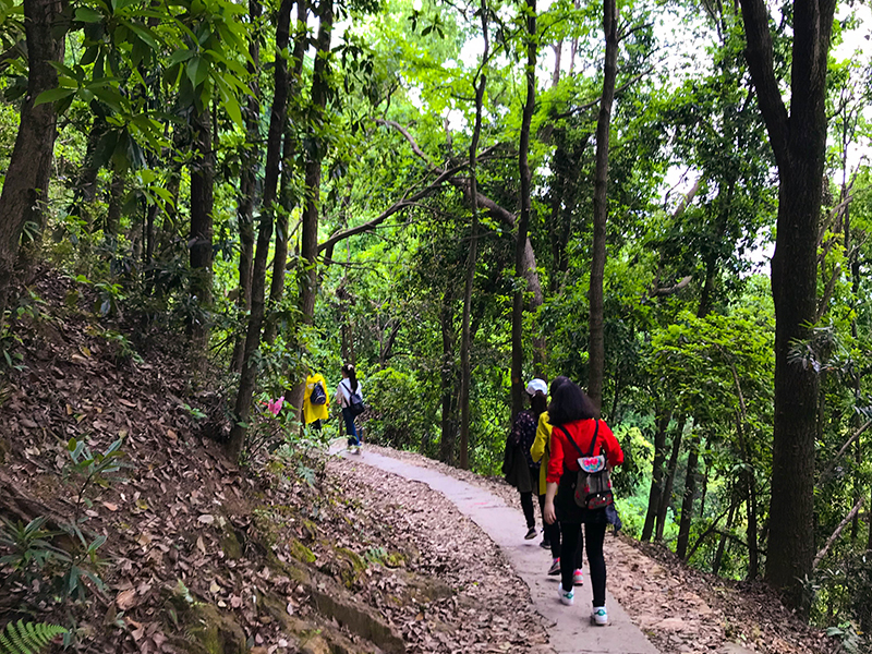 
                            我公司健康達人協會開展登山活動